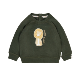 LD sweater groen Safari Friends