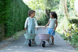 LD kruiwagen blauw Forest Friends