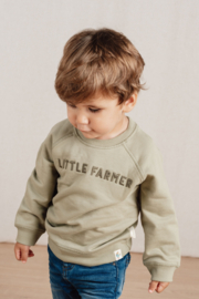 Little Dutch sweater groen