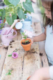 LD tuingereedschap roze Fairy Garden