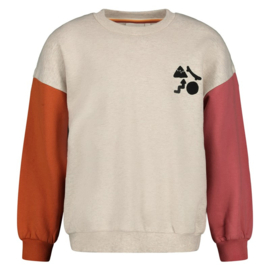 Sturdy sweater oversized met backprint - Mountain Top