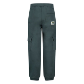 Sturdy cargo broek petrol - Fix It