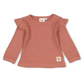 Feetje  shirtje berry melange maat 68