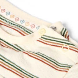 LD longsleeve streepjes