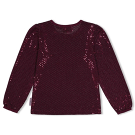 Jubel longsleeve glitter - Daily Princess
