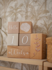 Label Label milestone blokken nougat