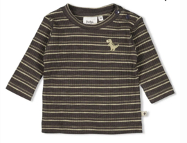 Feetje longsleeve streepjes Rawr Some