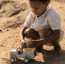 LD Safari jeep met dieren