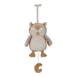 LD Forest Friends muziekdoos uil