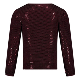 Jubel longsleeve glitter - Daily Princess