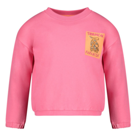 Jubel sweater Samba Shake roze