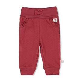 Feetje broek berry - Ladybug