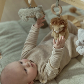 LD babygym Safari