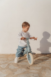 LD 4 in 1 loopfiets driewieler blauw