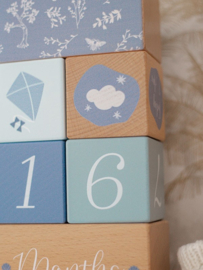 Label Label milestone blokken blauw