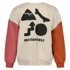 Sturdy sweater oversized met backprint - Mountain Top