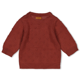 Feetje sweater gebreid berry maat 68