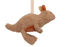 Jollein activiteitenspiraal - Kangaroots