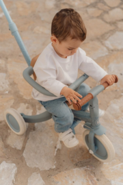 LD 4 in 1 loopfiets driewieler blauw