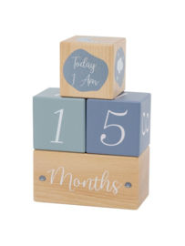 Label Label milestone blokken blauw