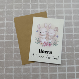 Wenskaart Hoera it binne der twa!