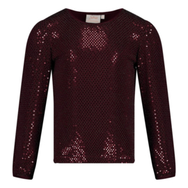 Jubel longsleeve glitter - Daily Princess