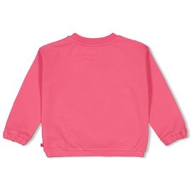 Jubel sweater Samba Shake roze