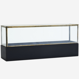 GLASS BOX W/ WOODEN BASE 40 CM