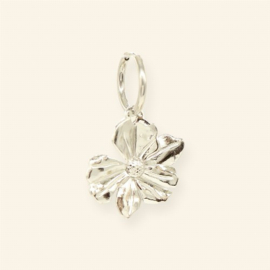 SEASTAR OORBEL ZILVER - MABLE