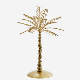 IRON PALM TREE