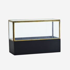 GLASS BOX W/ WOODEN BASE 26 CM