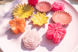 SCHAALTJE  LOTUS