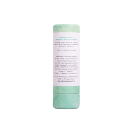 NATUURLIJKE DEODERANT STICK MIGHTY MINT - WE LOVE THE PLANET