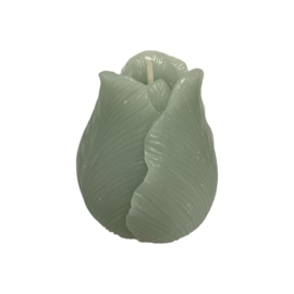 DECO KAARS TULIP CELADON - HOME SOCIETY