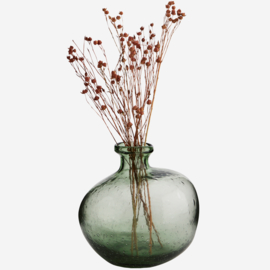 ORGANIC SHAPED GLASS VASE