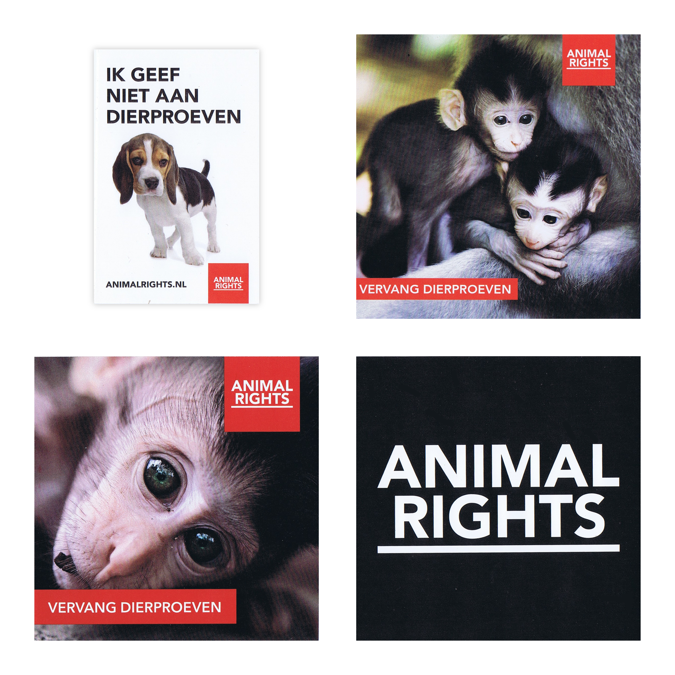 NIEUW! Stickerpakket Apen (LIMITED EDITION)