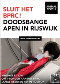 Actie