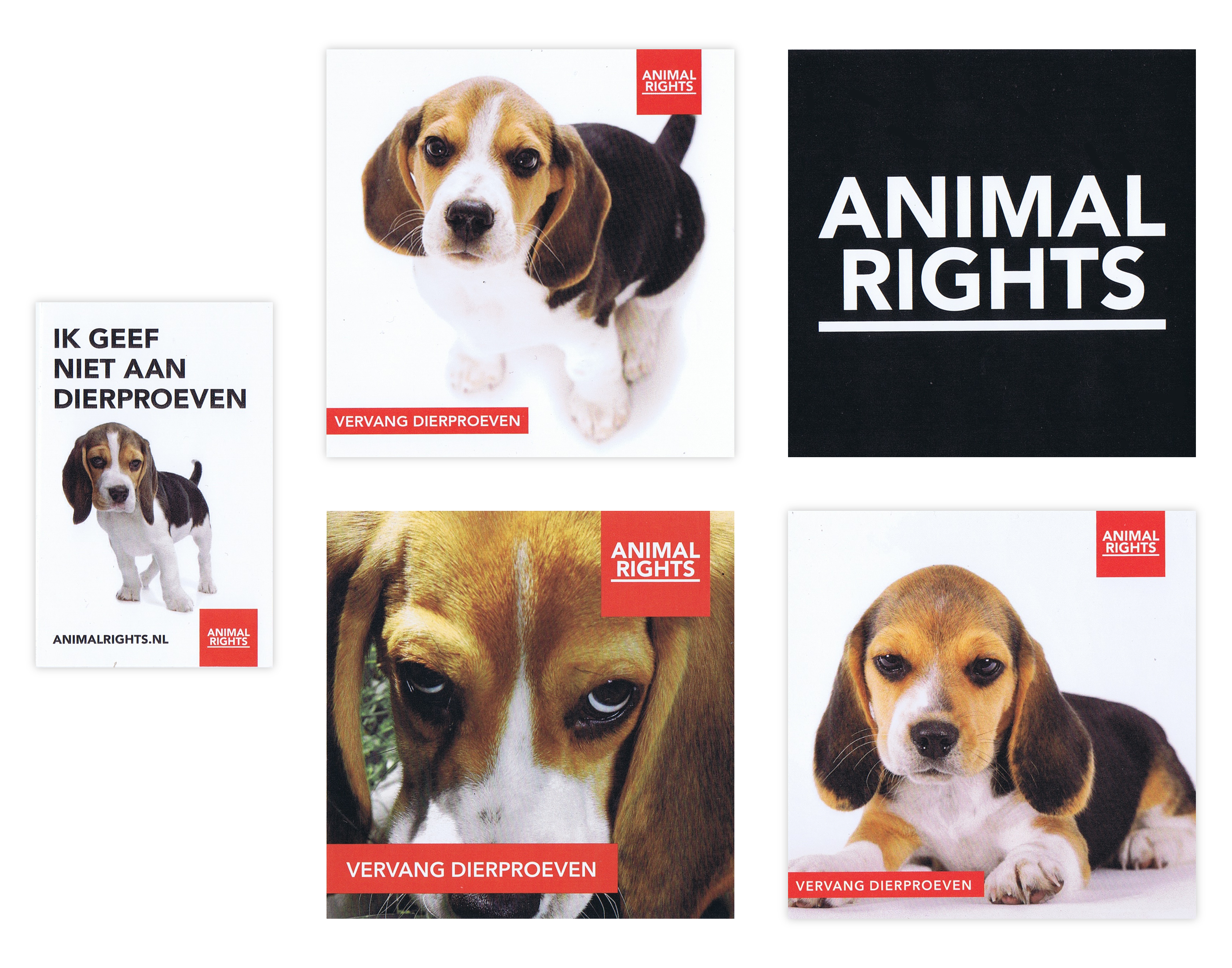 NIEUW! Stickerpakket Beagles