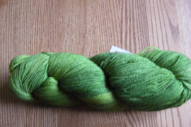 Vivacious 4ply Gecko