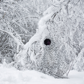 Buteo Photo Gear 3D leafs Camouflagenet Sneeuw 1,5x3 m