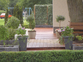 Klik hier voor meer foto's