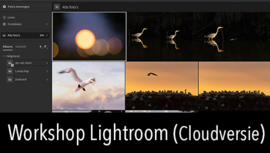 Workshop Lightroom (cloudversie)