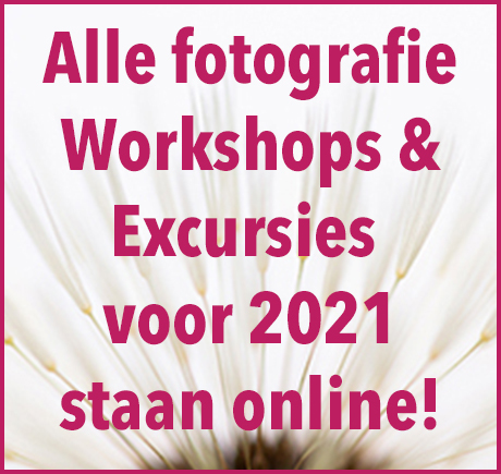 Workshops & excursies digitale fotografie bij in2pictures.nl fotografie