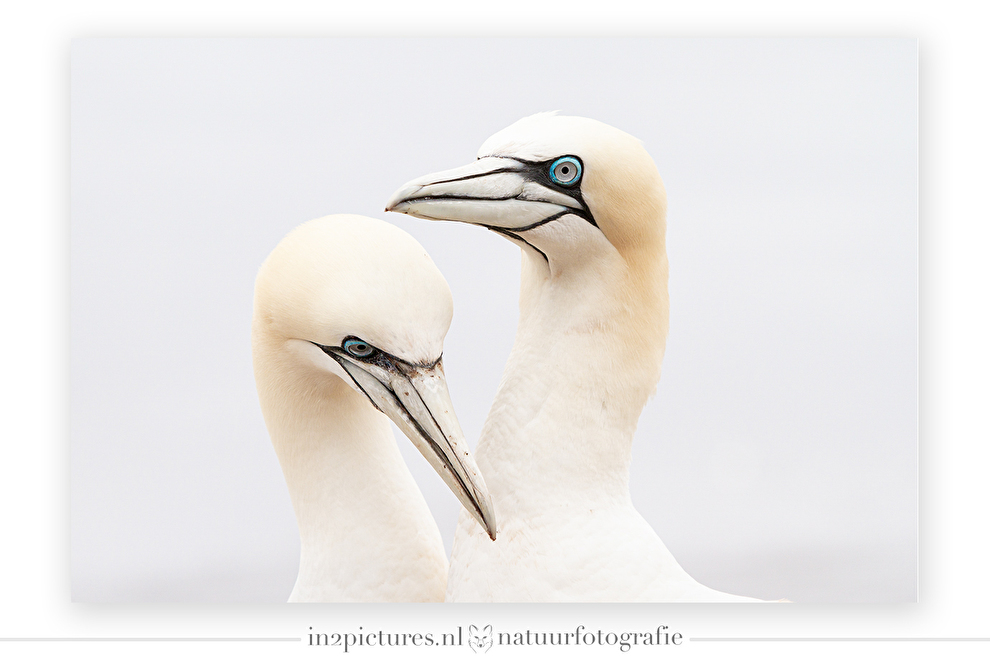 Jan van Genten op Helgoland, ga mee met de Helgoland Fotografie reis