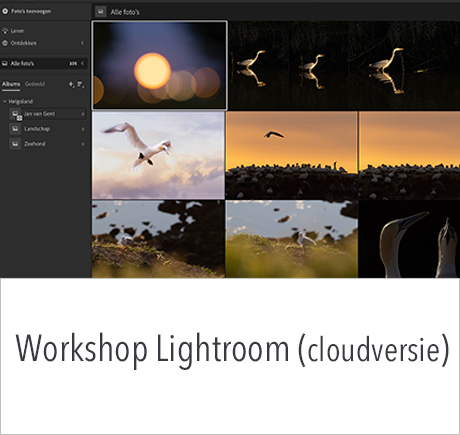 Workshop Adobe Lightroom cloudversie in2pictures fotoschool