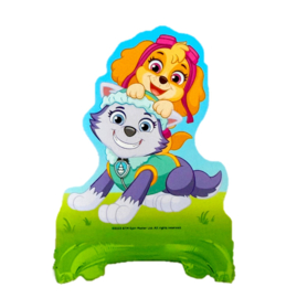 Paw Patrol Skye en Everest folie ballon op standraard 76x53cm
