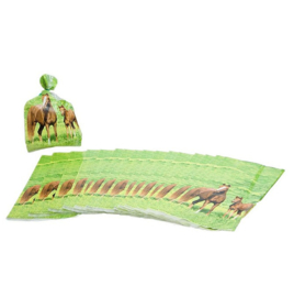 Paarden feestzakjes 20 stuks 12,7x28,5cm