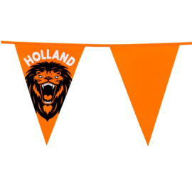 Oranje leeuw Holland reuzenvlaggenlijn 8m 40x30cm