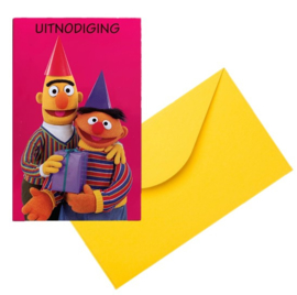 Bert en ernie uitnodigingen 6 stuks