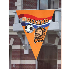 Oranje Holland voetbal driehoekvlag 90x150cm